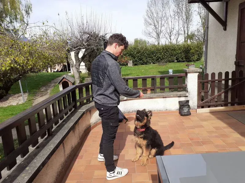 Martin Marsillach en pleine séance d'éducation