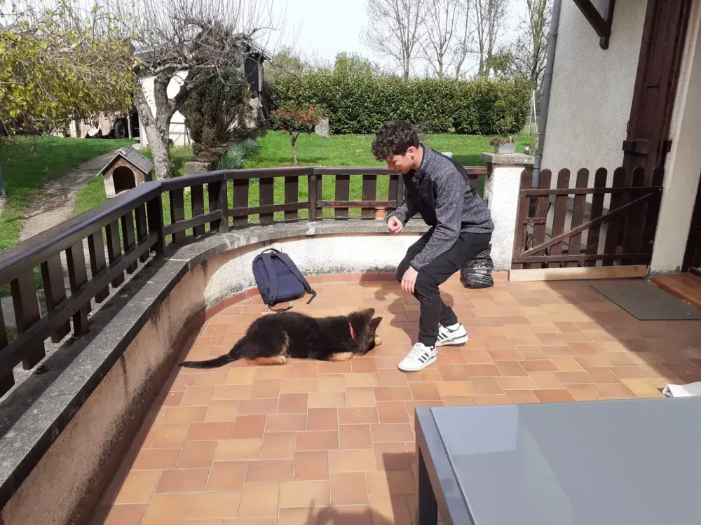 Martin Marsillach en pleine séance d'éducation