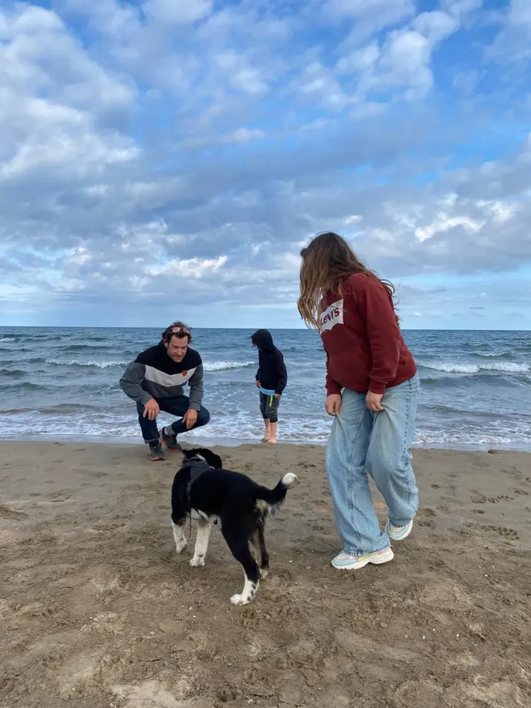 Éducateur canin à Plateau-des-Petites-Roches (28webp